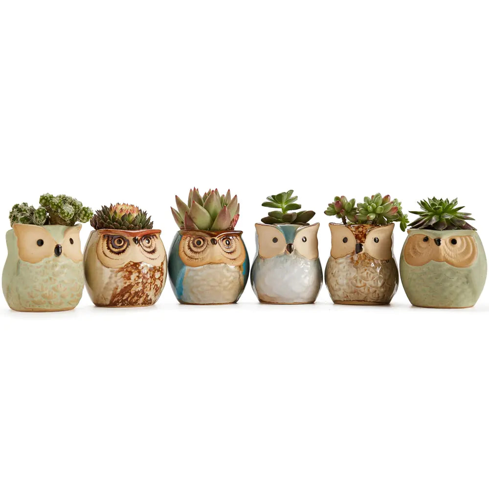 6-Piece Owl plant Pot Set