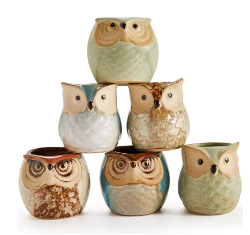 6-Piece Owl plant Pot Set