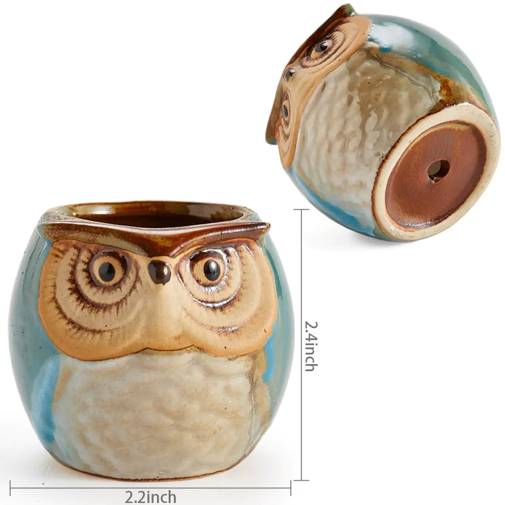 6-Piece Owl plant Pot Set