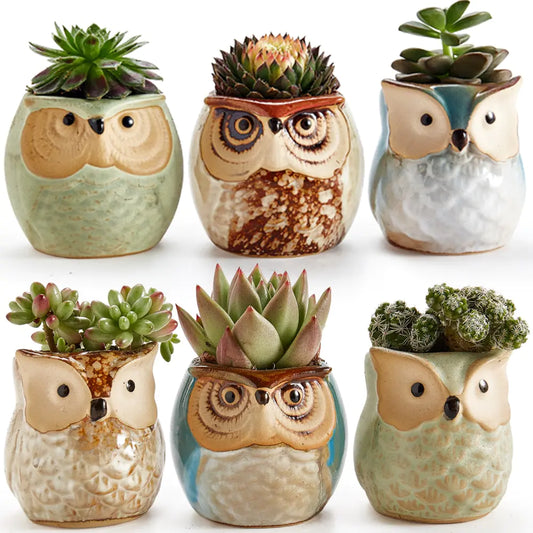 6-Piece Owl plant Pot Set