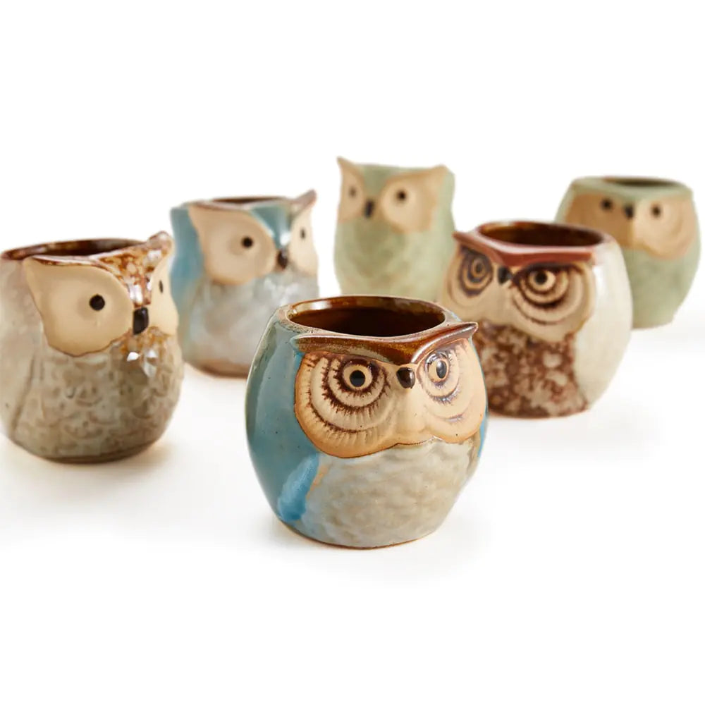 6-Piece Owl plant Pot Set